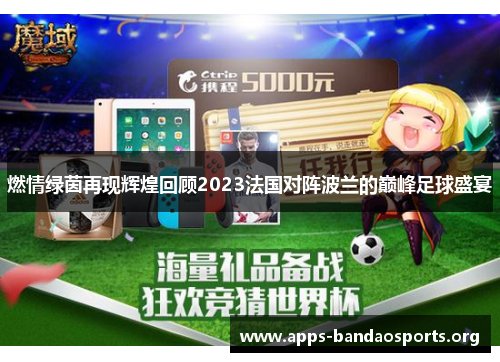 燃情绿茵再现辉煌回顾2023法国对阵波兰的巅峰足球盛宴